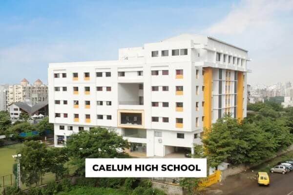 Reimagining Education: Where Curiosity Meets Growth